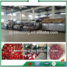 China Individual Food Fast Freezing Machinery